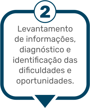 Segunda etapa do processo de consultoria